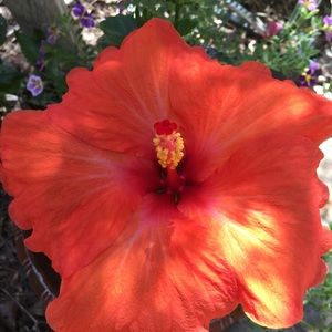 Meet your Posher, Lynn